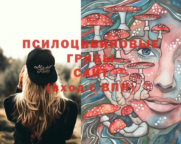 мдпв Белокуриха